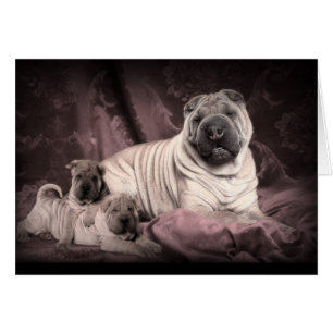 Vintage kinesiska Shar Pei rynkar, valphundar Hälsningskort