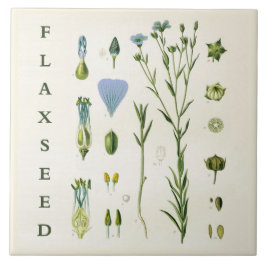 Vintage Kitchen Art: Flaxseed Linseed Flax Plant Kakelplatta