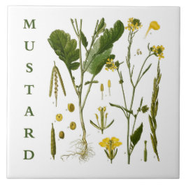 Vintage Kitchen Art: Mustard Herbs & Spices Plants Kakelplatta