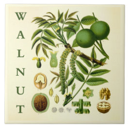Vintage Kitchen Art: Walnut Nut Tree Leaves Kakelplatta