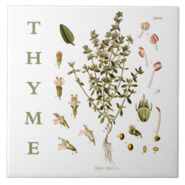 Vintage Kitchen Garden Thyme Herb plant flowers Kakelplatta