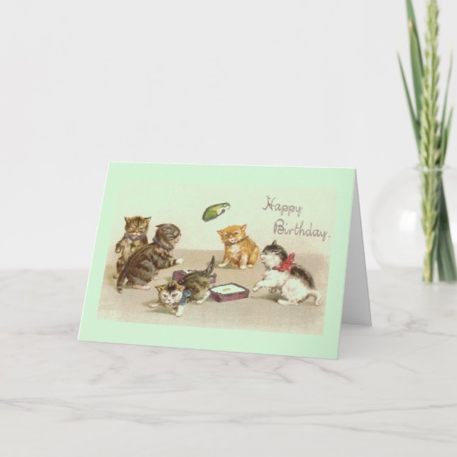 Vintage Kitten Birthday Greeting Card Kort (Framsida)