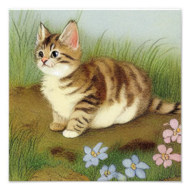 Vintage Kitten Illustration with Flowers Fototryck