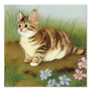 Vintage Kitten Illustration with Flowers Fototryck