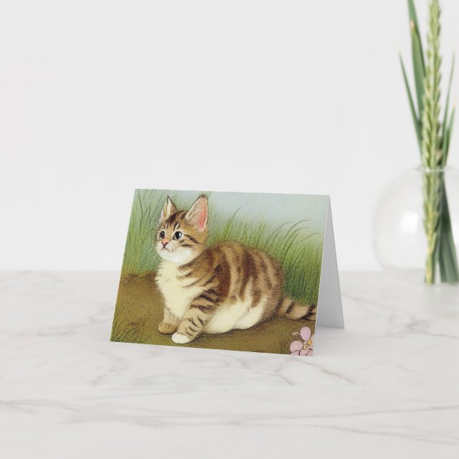 Vintage Kitten Illustration with Flowers Inbjudan (Framsida)