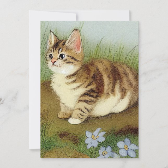 Vintage Kitten Illustration with Flowers Inbjudningar (Framsida)