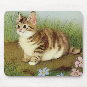 Vintage Kitten Illustration with Flowers Musmatta