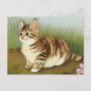 Vintage Kitten Illustration with Flowers Vykort