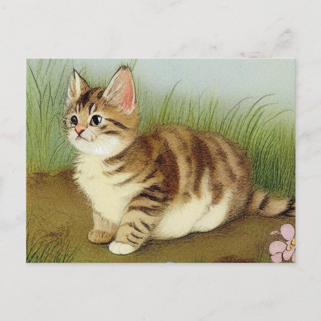 Vintage Kitten Illustration with Flowers Vykort (Framsida)