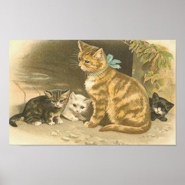 Vintage Kitten Poster (Framsidan)