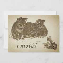 Vintage Kittens och Frog I Flyttat byte av Adress Kort