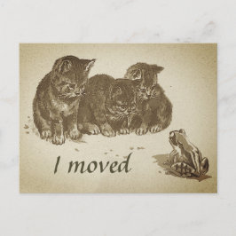 Vintage Kittens och Frog I Flyttat byte av Adress Vykort