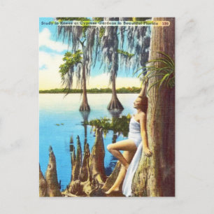 Vintage Knees vid Cypress Gardens i Florida Vykort