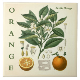 Vintage kökskonst: Orange Citrus Träd blommor Kakelplatta