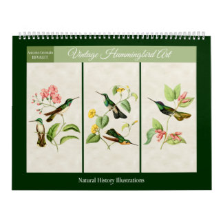 Vintage Kolibri Art 2027 Kalender
