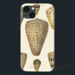 Vintage Kon-Snäckor<br><div class="desc">Konstnären Denis Diderot är begåvad och känd för sitt underbarare liv i bilder. I den här levande bilden fångar han dessa krackade cone Conch-celler i sitt mest naturliga stil. Kokarna är ofta förvrängda som de här fyra segelerna och i en sepiafärgad tittar ton. Skaffa din årstidsprodukt idag och du kan...</div>