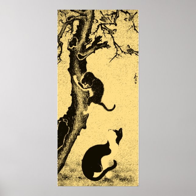 Vintage koreansk kattkonst poster (Framsidan)