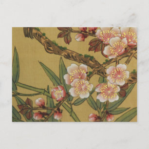 Vintage Körsbärsblommor Asiatiska Japanska Blommor Vykort