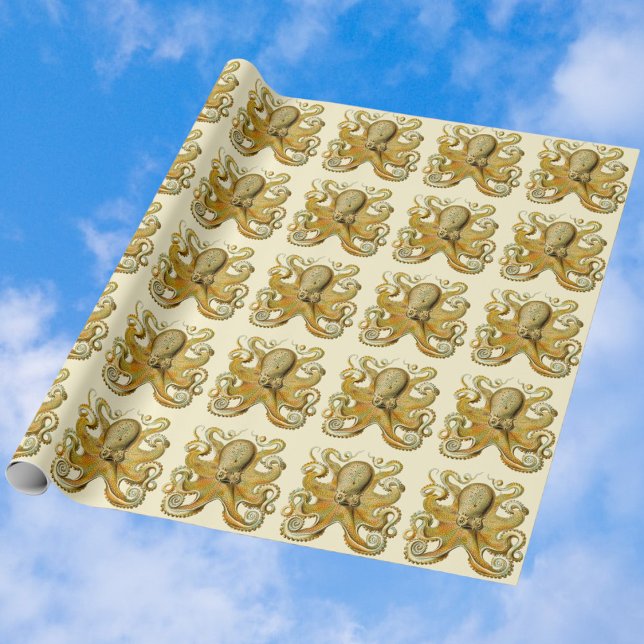 Vintage Kraken, Octopus Gamochonia, Ernst Haeckel Presentpapper (Skapare uppladdad)