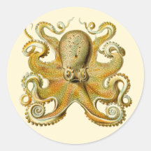 Vintage Kraken, Octopus Gamochonia, Ernst Haeckel