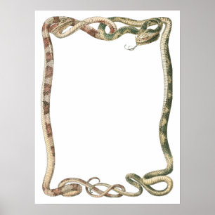 Vintage kräldjur, Sammanflätade ormar eller Vipers Poster