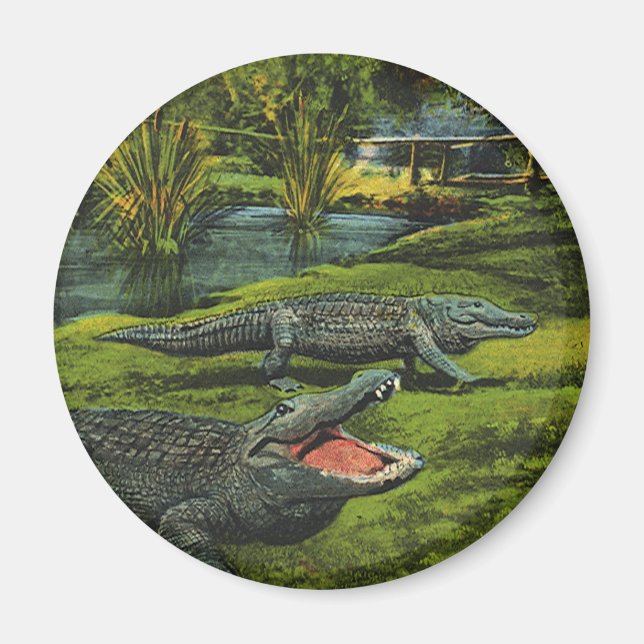 Vintage Krokodiler, havslevande reptiler Magnet (Framsidan)