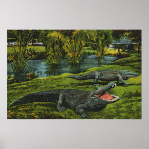 Vintage Krokodiler, havslevande reptiler Poster