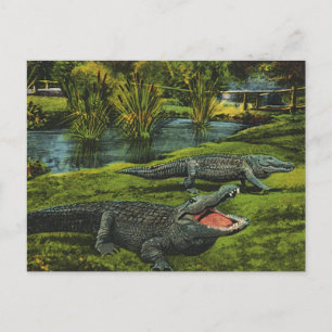 Vintage Krokodiler, havslevande reptiler Vykort