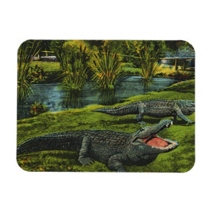 Vintage Krokodiler, Marina Livets Reptiler Djur Magnet