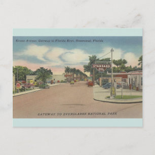 Vintage Krome Avenue Homestead Florida Postcard Vykort