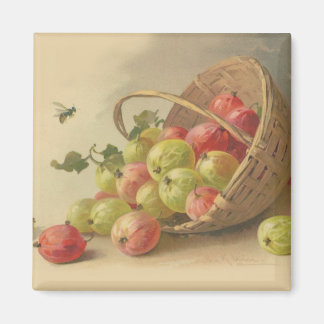 Vintage krusbär magnet