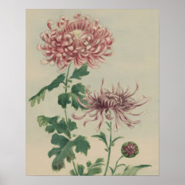 VINTAGE KRYSANTEMUM BOTANISK BLOMM KONST POSTER