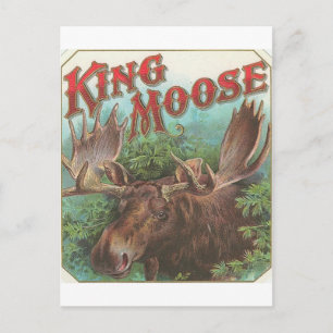 Vintage Kung Moose Vykort