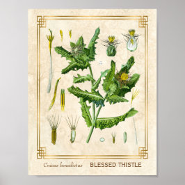 Vintage Läkemedelsblomma Tistle Botaniska Poster