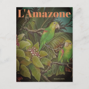 Vintage L'Amazone Travel Postcard Vykort