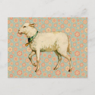 Vintage Lamb Art Vykort