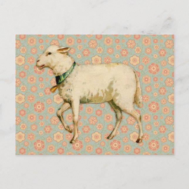 Vintage Lamb Art Vykort (Framsida)