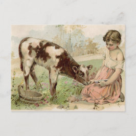 Vintage Land Girl Matar Calf Vykort