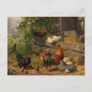 Vintage Land-kycklingar vykort