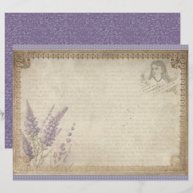 Vintage Lavendel Pappersark för Journal (Fram/baksida)