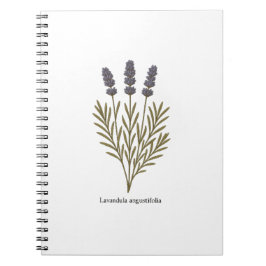 Vintage Lavender Flower Illustration Anteckningsbok