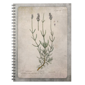 Vintage Lavender Illustration med Struktur Anteckningsbok