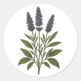 Vintage Lavender Sticker - round Runt Klistermärke