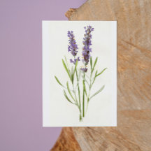Vintage Lavenders