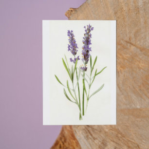 Vintage Lavenders Julkort