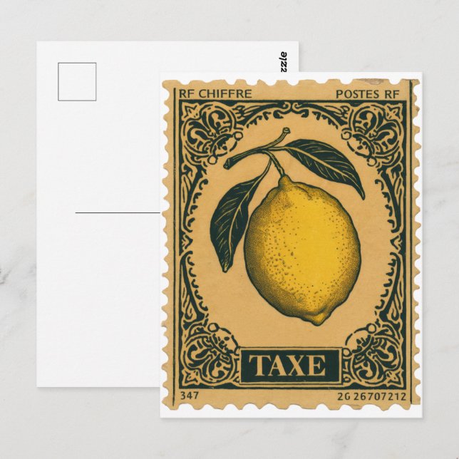 Vintage Lemon Botanical Fruit Postkort  Vykort (Fram/baksida)