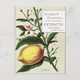 Vintage Lemon Vykort