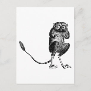 Vintage Lemur Vykort