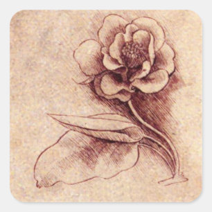 Vintage Leonardo Da Vinci Flower Square Sticker Fyrkantigt Klistermärke