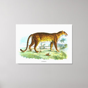 Vintage Leopard Animal Illustration Canvastryck